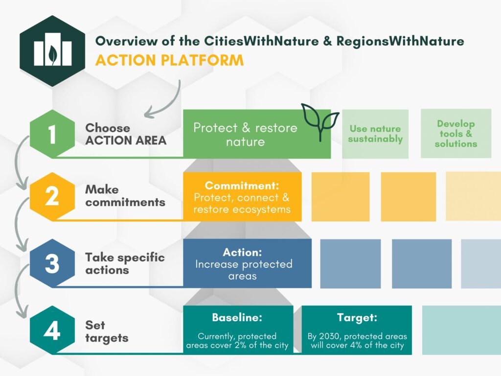 Learn more about the Action Platform - CitiesWithNature