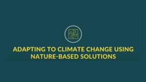 Nature-based solutions - CitiesWithNature