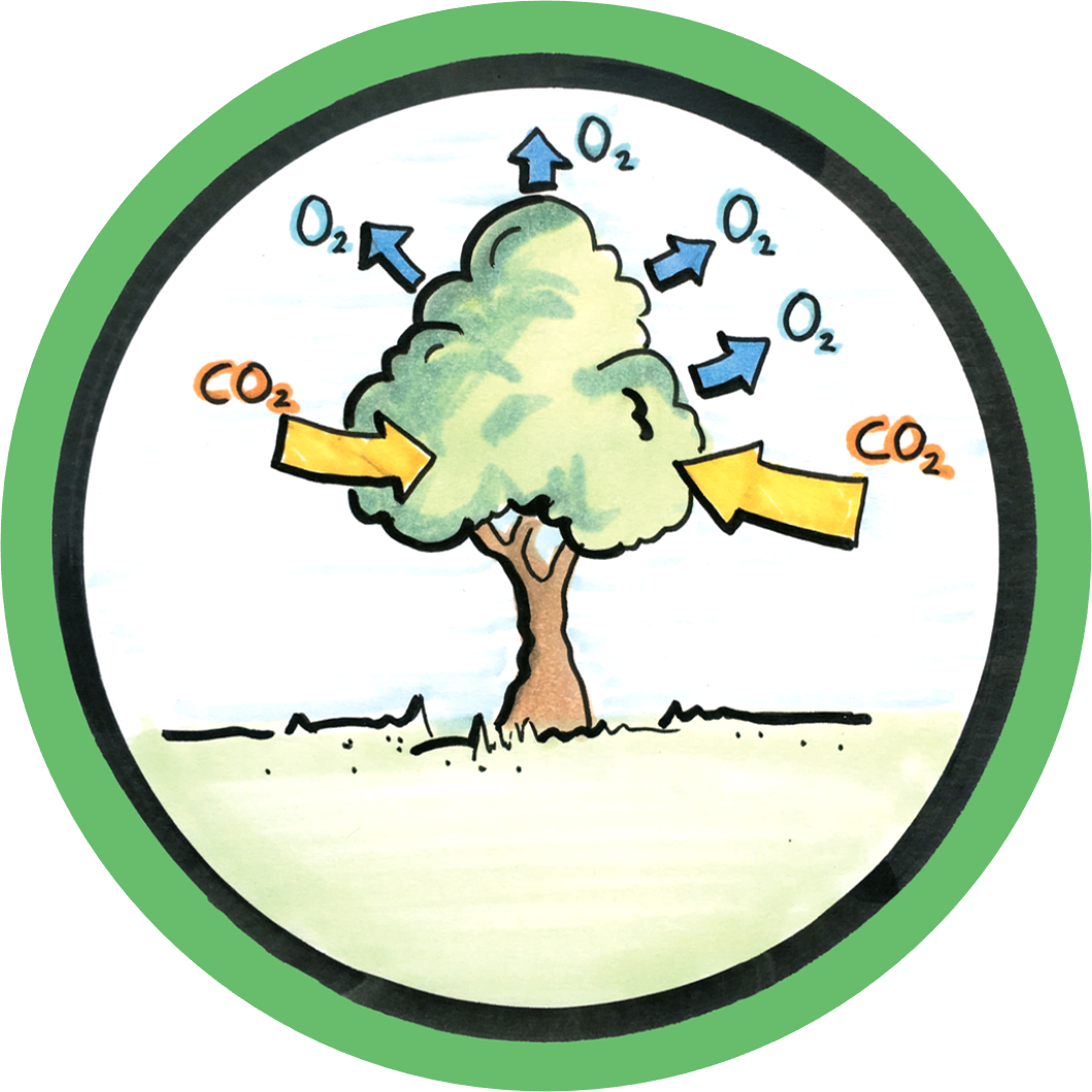 Regulating Carbon Capture And Storage