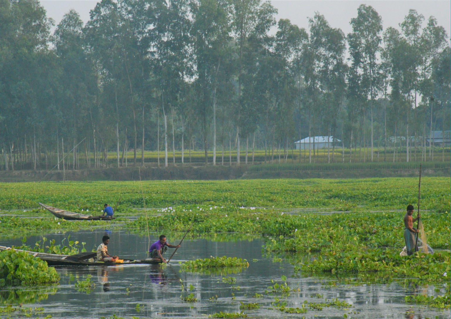 Local Practises Local knowledge, lasting impact: Cities and traditional practices ...